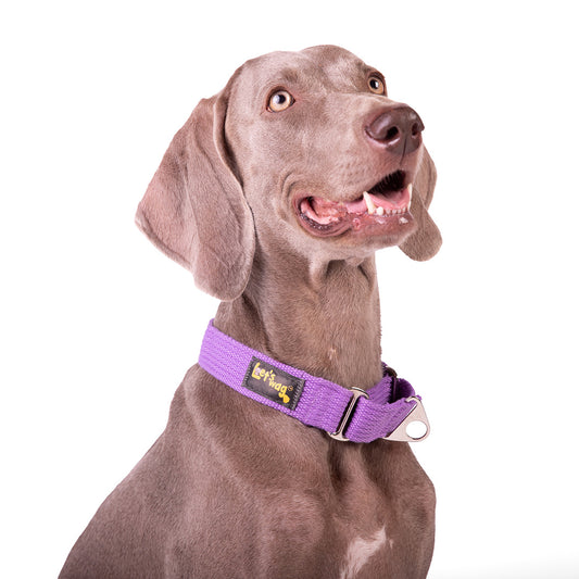 Let's Wag Martingale Fabric Dog Collar - Purple