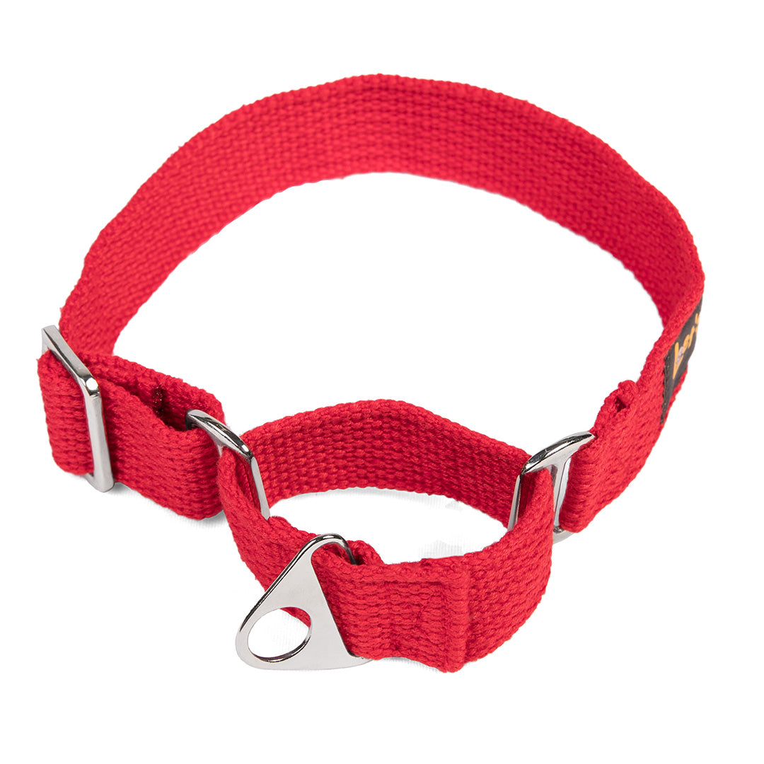 Let's Wag Martingale Fabric Dog Collar - Red