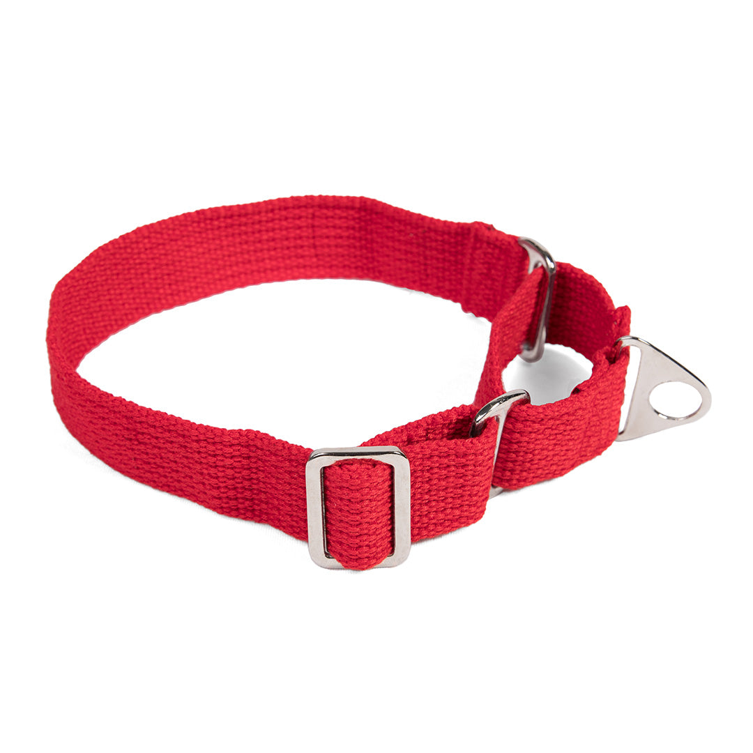 Let's Wag Martingale Fabric Dog Collar - Red