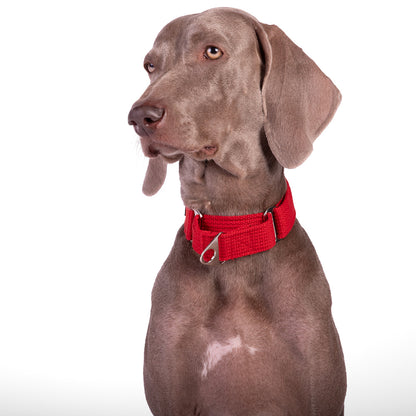 Let's Wag Martingale Fabric Dog Collar - Red