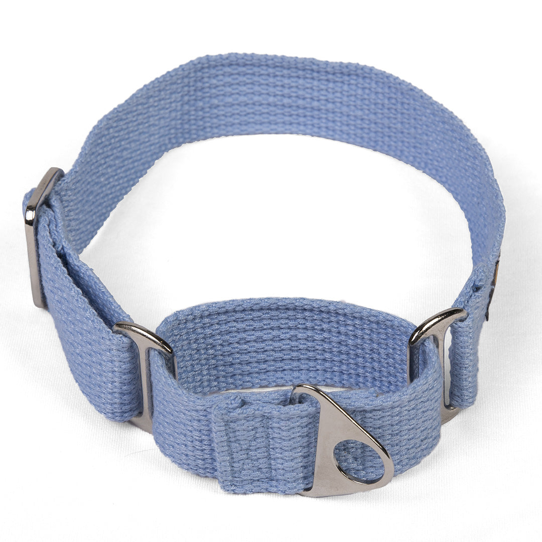 Let's Wag Martingale Fabric Dog Collar - Sky Blue