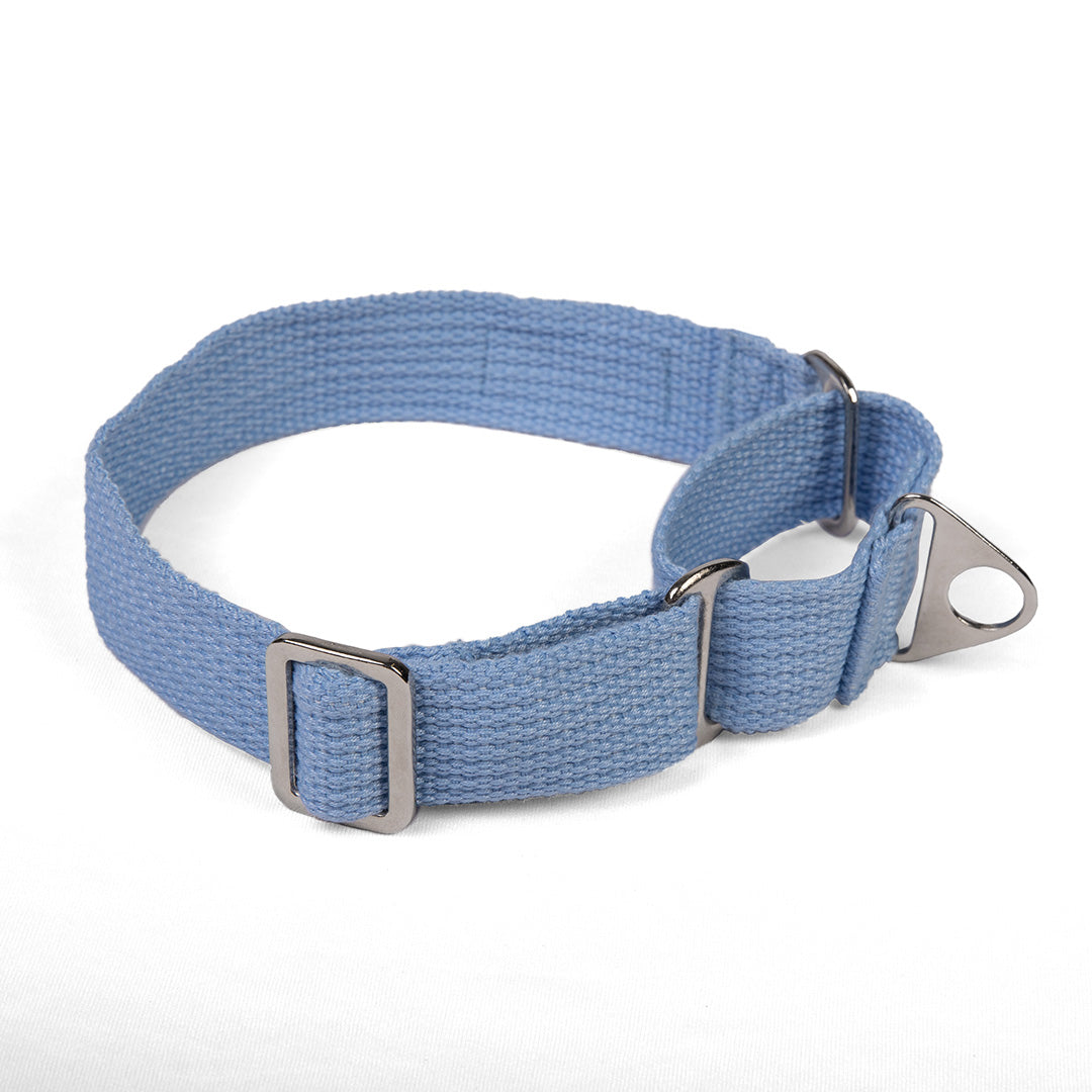 Let's Wag Martingale Fabric Dog Collar - Sky Blue