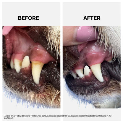 Moe Puppy Dental Spray - For Dogs & Cats