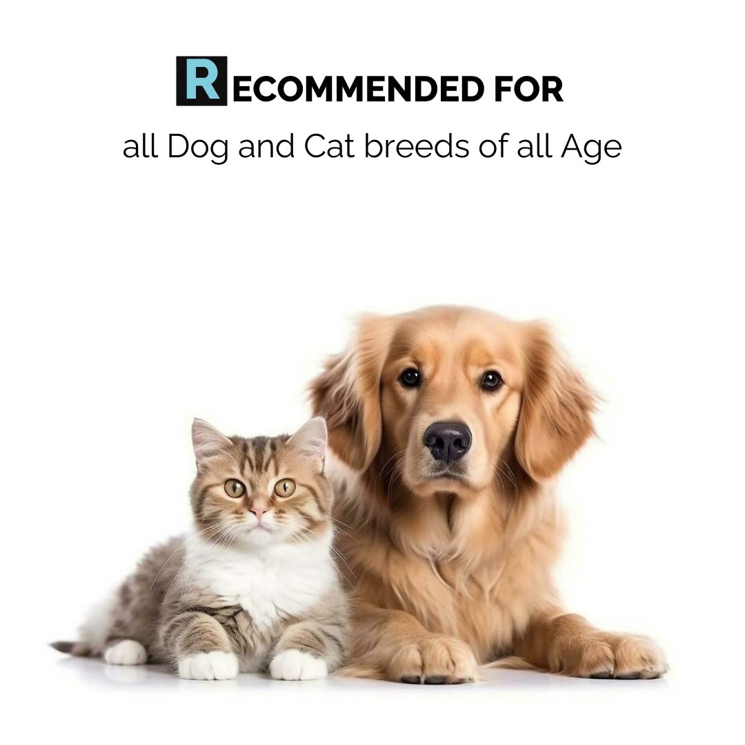 Moe Puppy Dental Spray - For Dogs & Cats