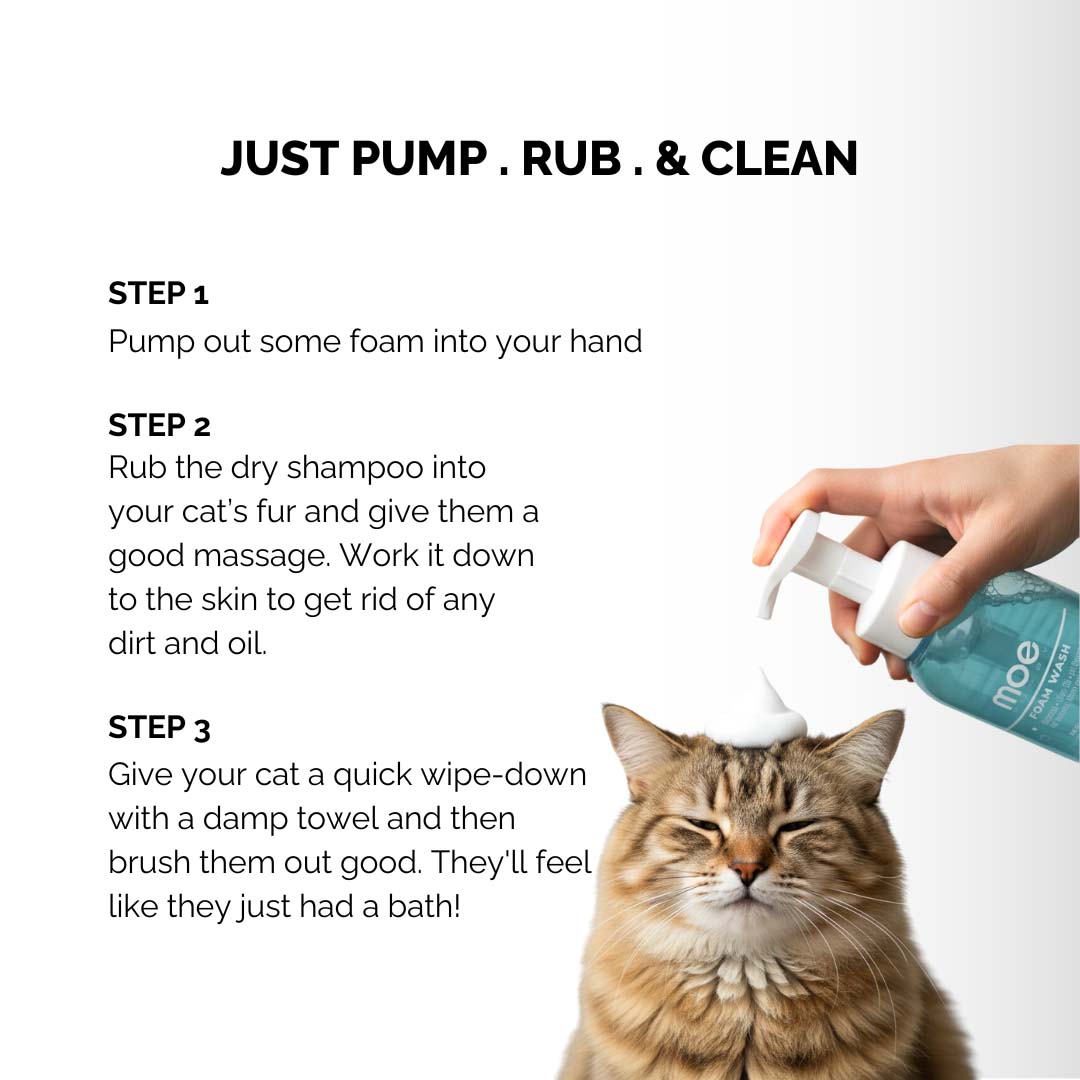 Moe Puppy Foam Wash Dry Shampoo for Cats - All Life Stages