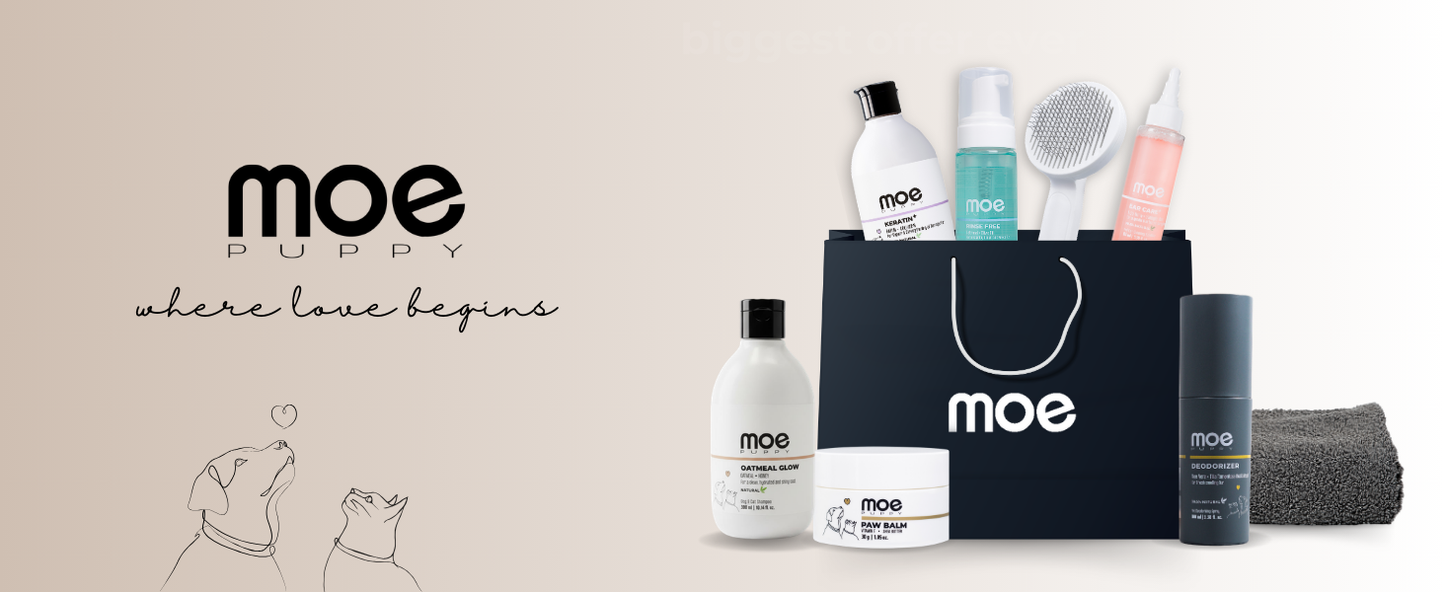Moe Puppy Oatmeal Glow Shampoo – Shine Boosting with Oatmeal and Honey