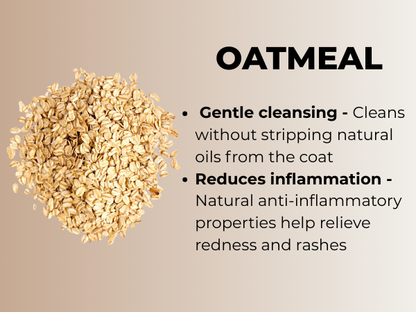Moe Puppy Oatmeal Glow Shampoo – Shine Boosting with Oatmeal and Honey