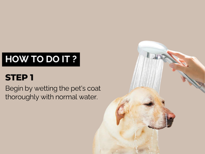 Moe Puppy Oatmeal Glow Shampoo – Shine Boosting with Oatmeal and Honey
