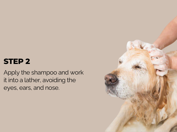 Moe Puppy Oatmeal Glow Shampoo – Shine Boosting with Oatmeal and Honey