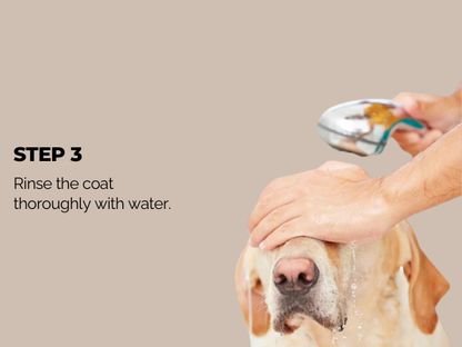 Moe Puppy Oatmeal Glow Shampoo – Shine Boosting with Oatmeal and Honey