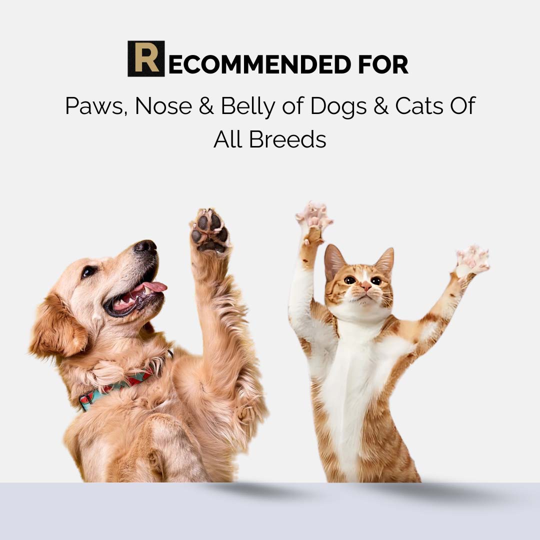 Moe Puppy Paw Balm - Paw Cream - For Dogs & Cats