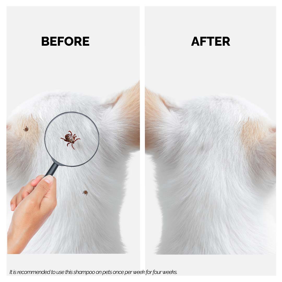 Moe Puppy Tick Defense - Tick Free Shampoo for Dogs and Cats