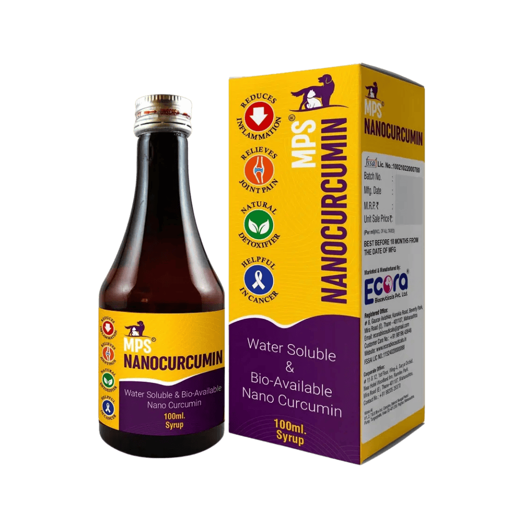 NANOCURCUMIN SYRUP - Animeal