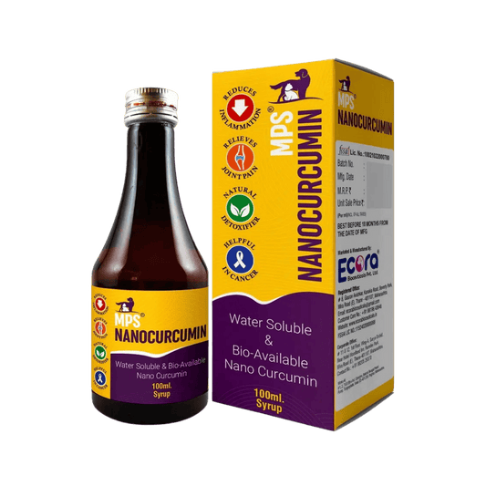 NANOCURCUMIN SYRUP - Animeal