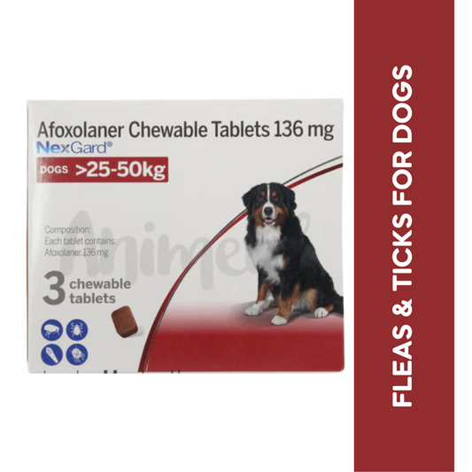 NEXGARD (25-50KG) DOG TABLET - Animeal