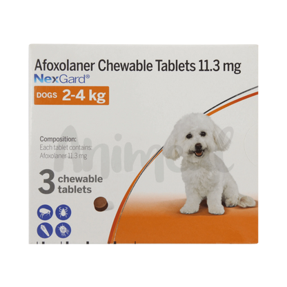 NEXGARD (2KG-4KG) DOG TABLET - Animeal