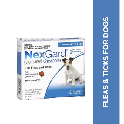 NEXGARD (4KG TO 10KG) DOG TABLET - Animeal