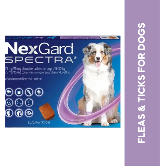 NEXGARD SPECTRA (L) (15KG-30KG) - Animeal