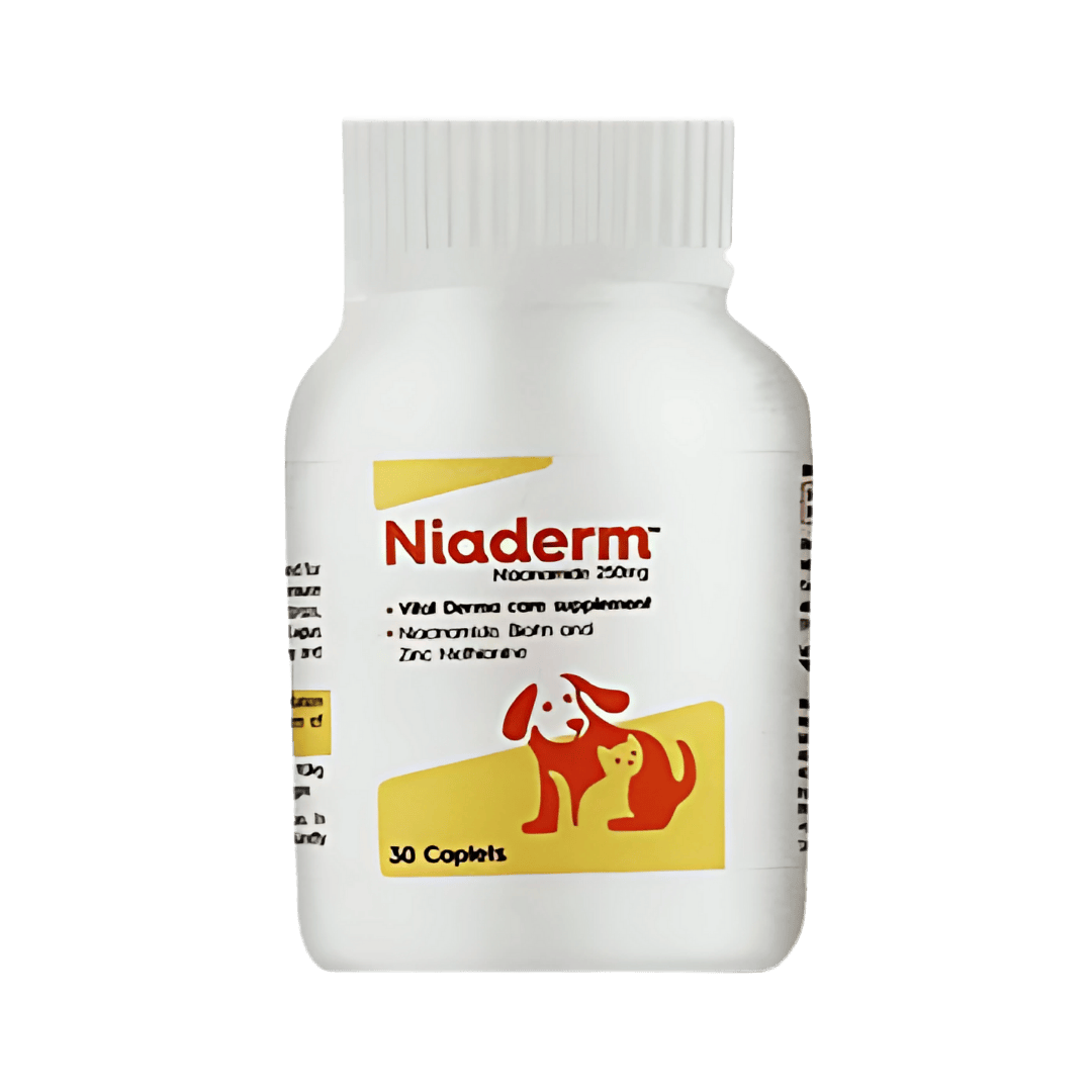 NIADERM 250MG TABLET - Animeal