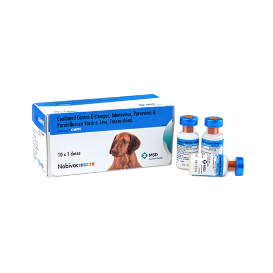 NOBIVAC DHPPI - Animeal