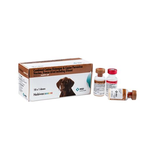 NOBIVAC PUPPY DP - Animeal