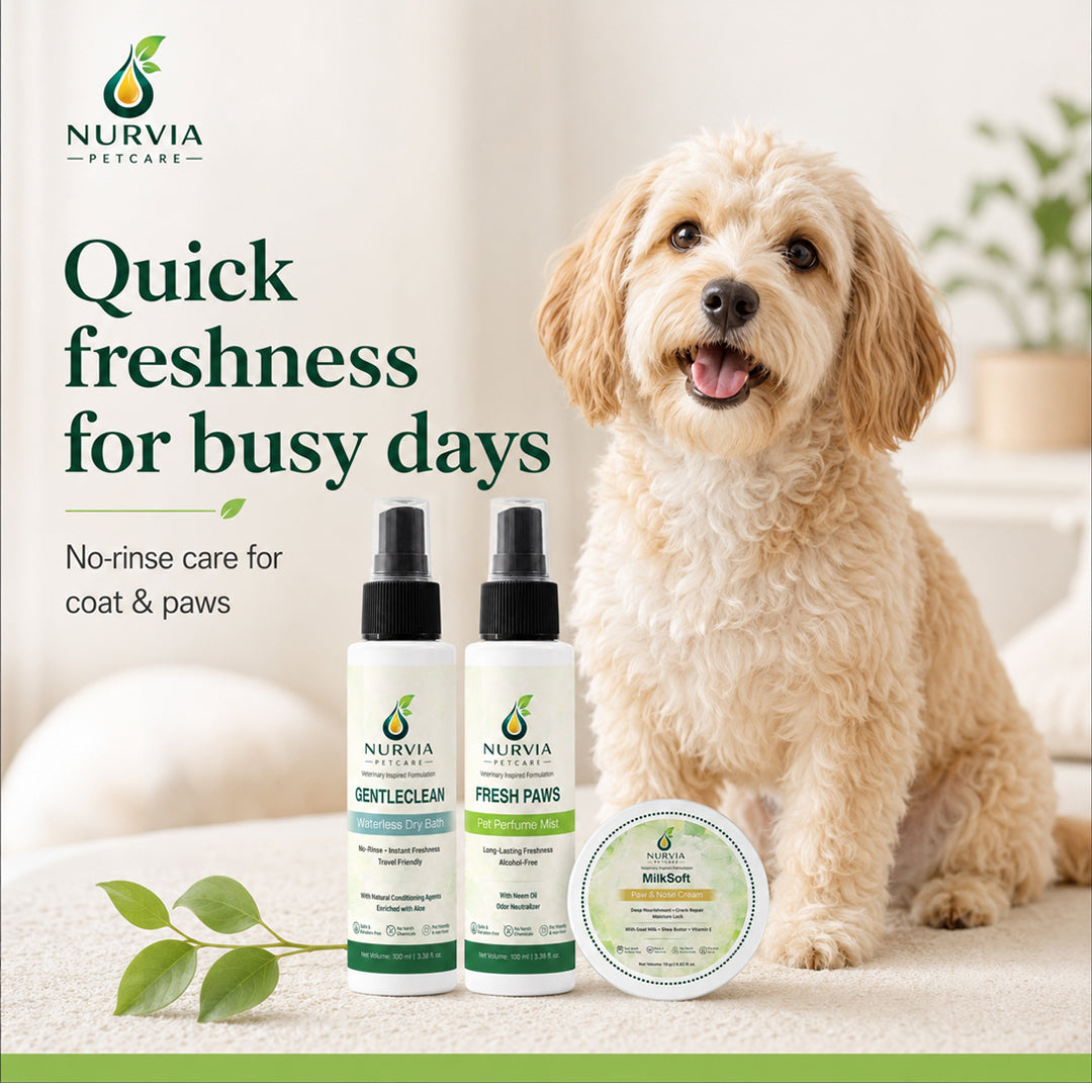 NURVIA Waterless Dog Grooming Kit by Nurvia Petcare | 3-in-1 | 100ml +100 ml + 15gm