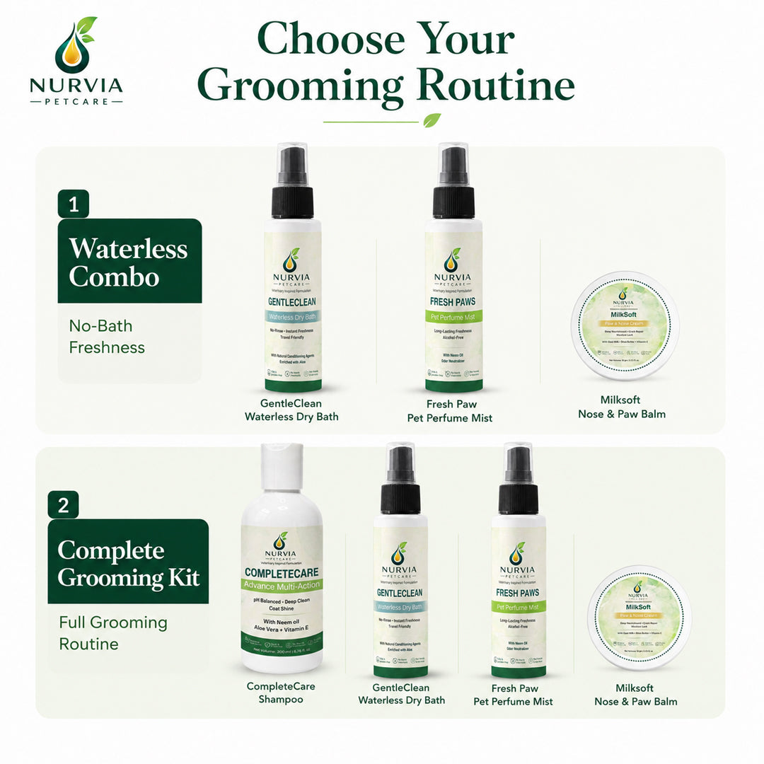 NURVIA Waterless Dog Grooming Kit by Nurvia Petcare | 3-in-1 | 100ml +100 ml + 15gm