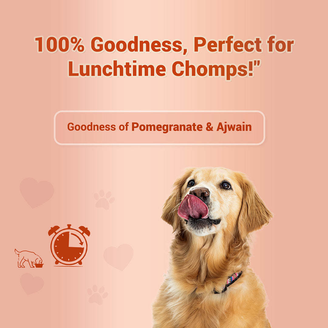 Pet natural remedies Treat o clock(chicken and egg)