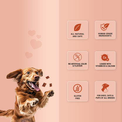Pet natural remedies Treat o clock(chicken and egg)