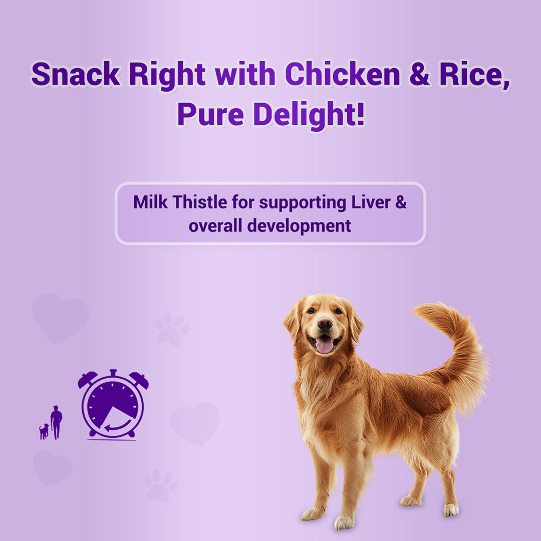 Pet natural remedies Treat o clock(chicken and rice )