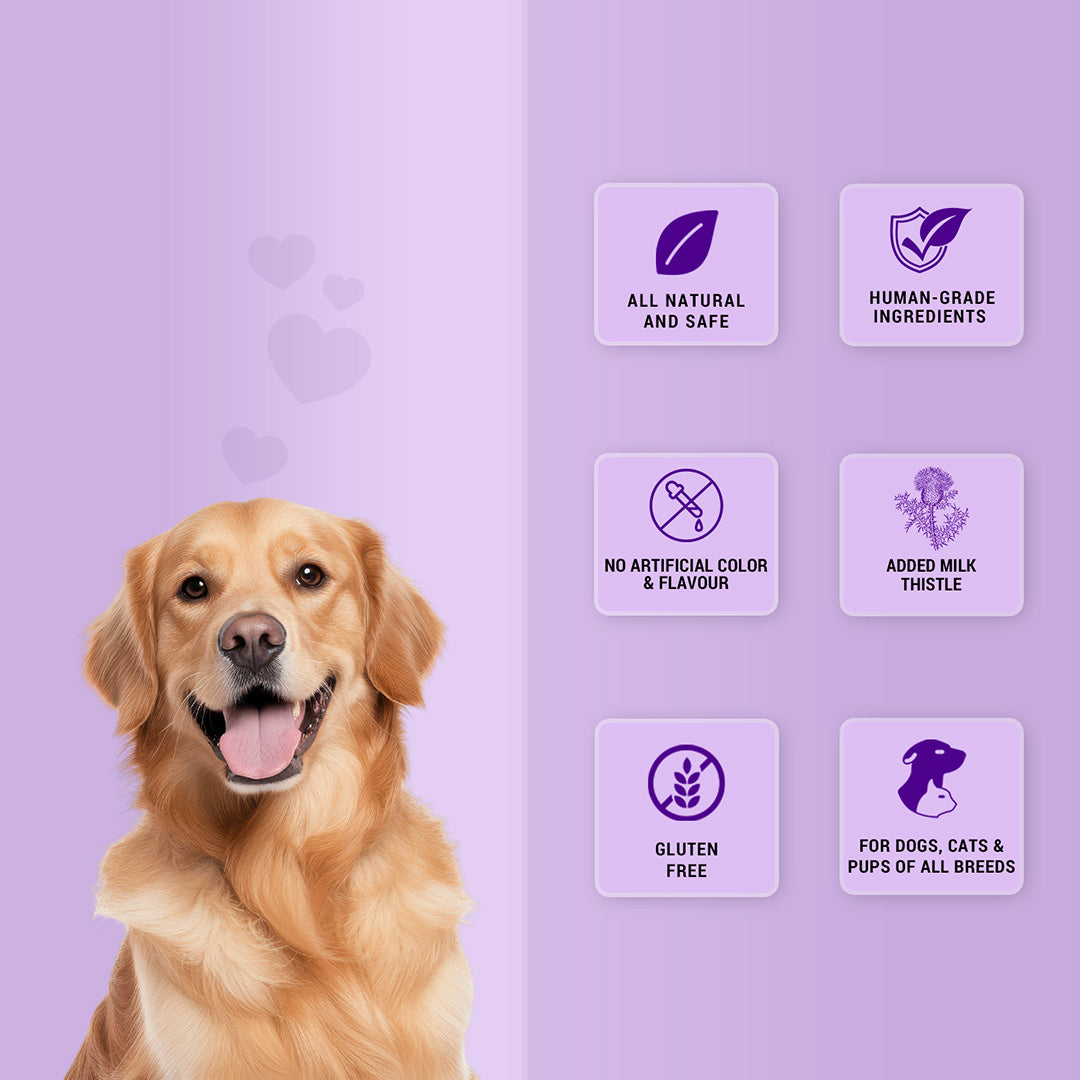 Pet natural remedies Treat o clock(chicken and rice )