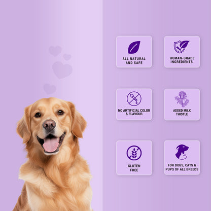 Pet natural remedies Treat o clock(chicken and rice )