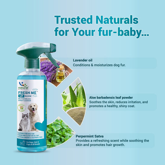 Pet natural remedies Fresh me up bloom aloevera 170ml