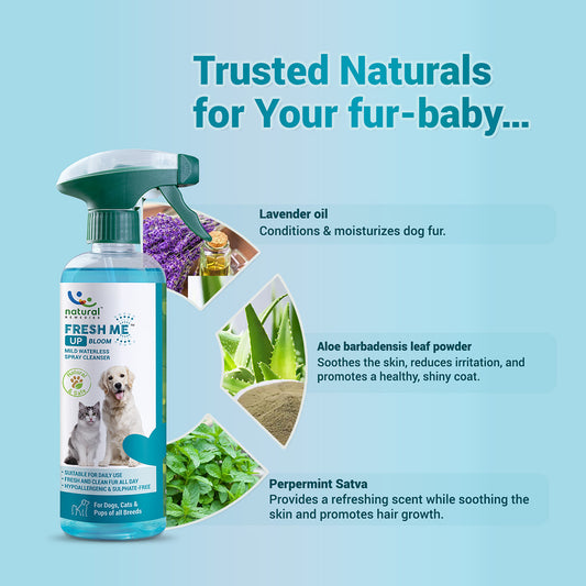 Pet natural remedies Fresh me up bloom 420 ml
