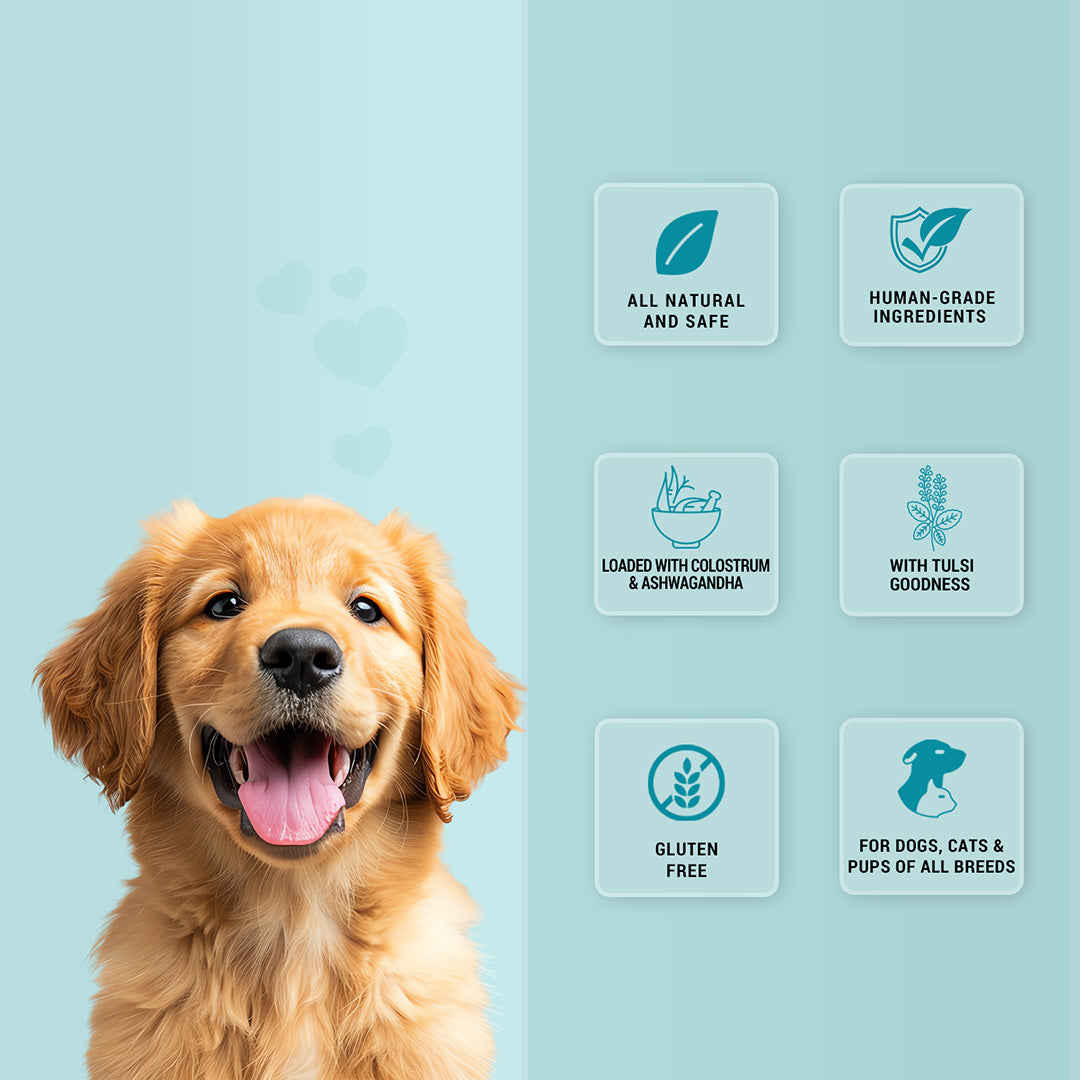 Pet natural remedies Treat o clock (milk)
