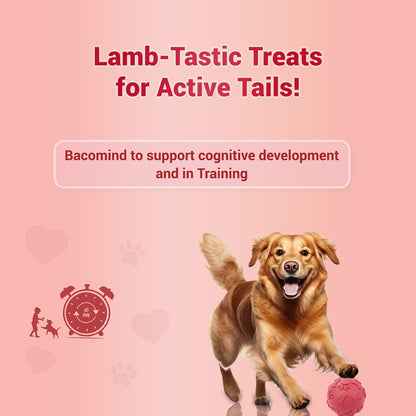 Pet natural remedies Treat o clock (mutton)