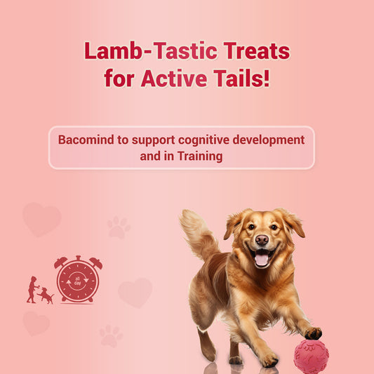 Pet natural remedies Treat o clock (mutton)