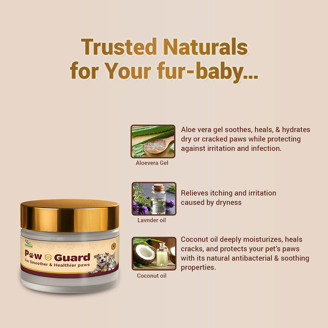 Pet natural remedies Paw butter