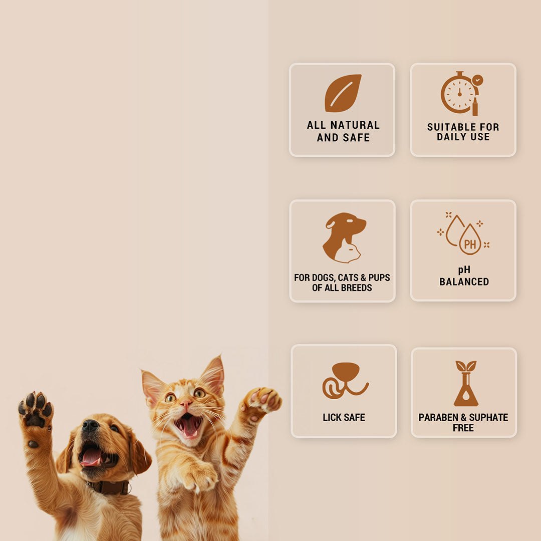 Pet natural remedies Paw butter
