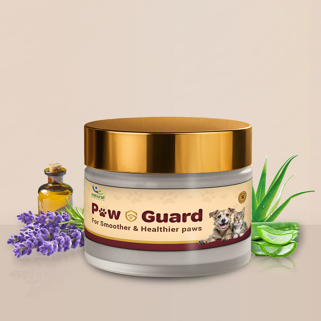 Pet natural remedies Paw butter