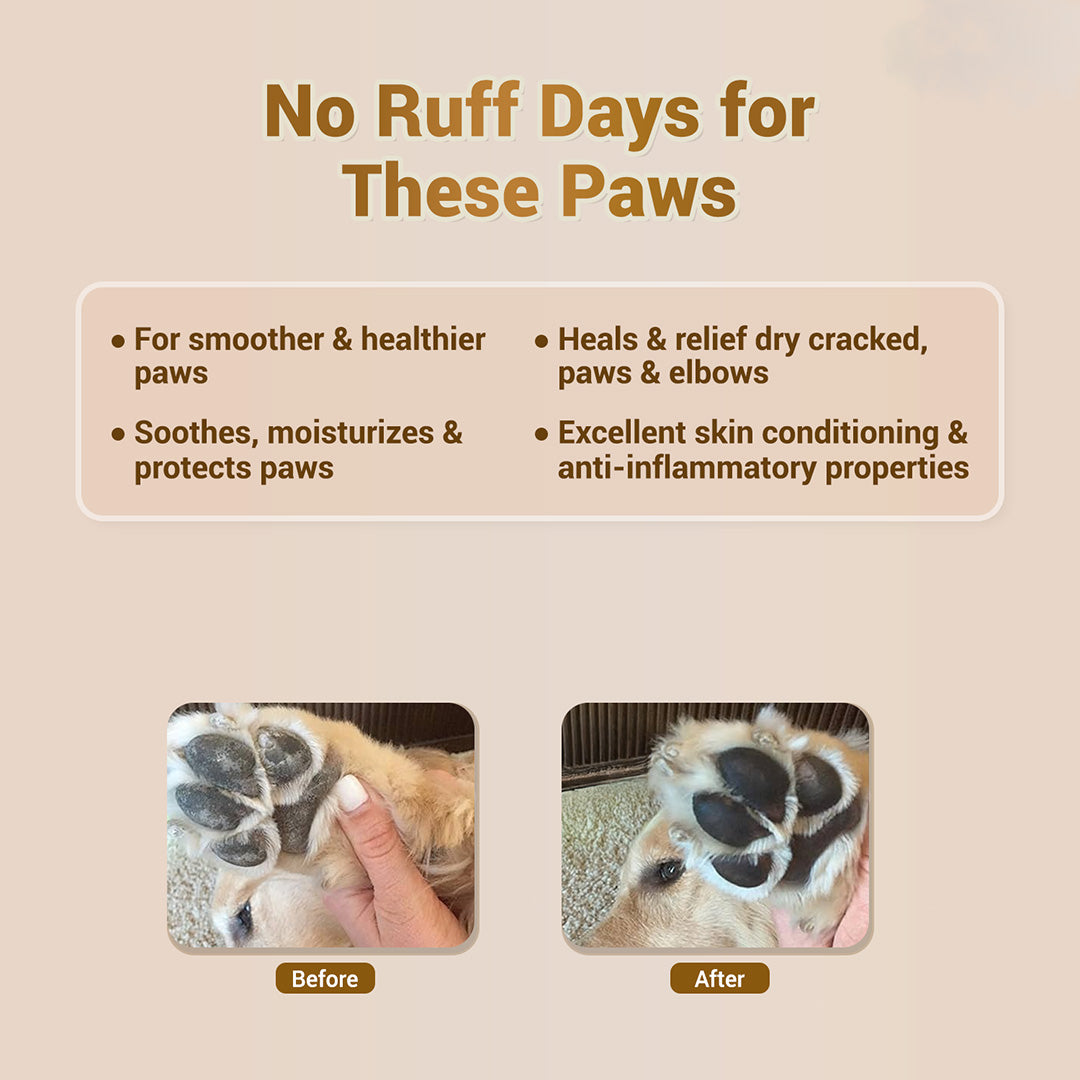 Pet natural remedies Paw butter