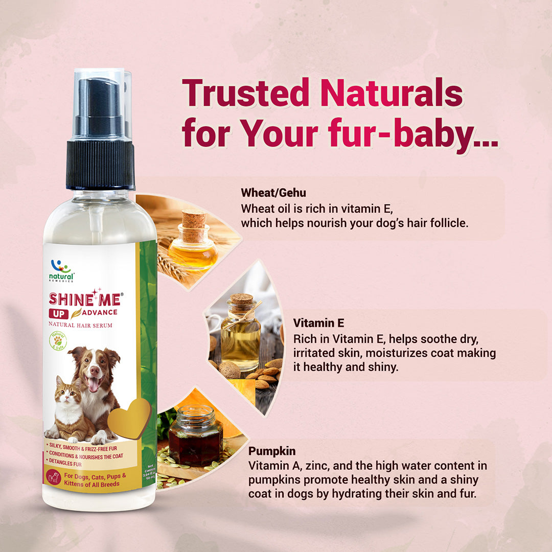 Pet natural remedies Shine Me Up advance 90 ml