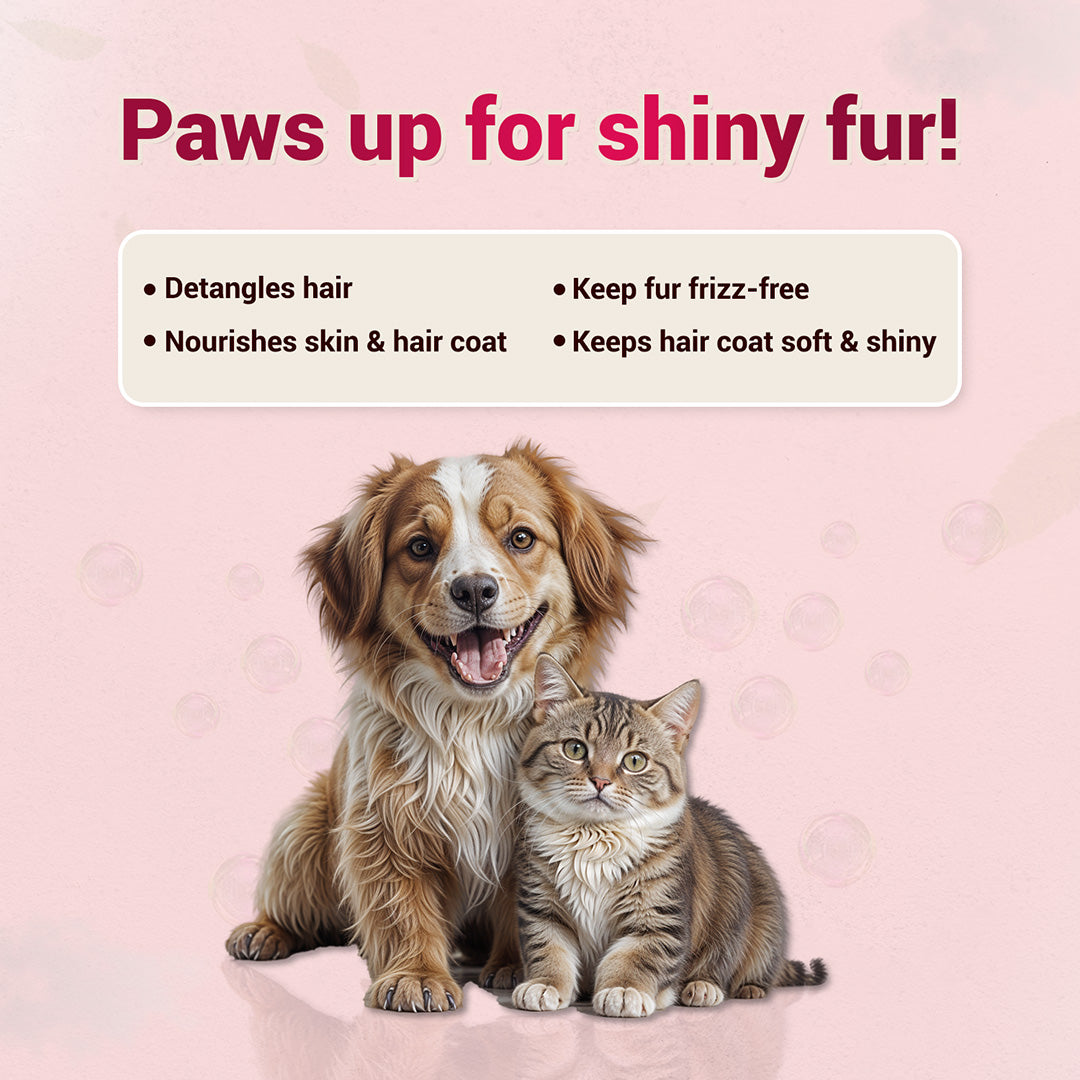 Pet natural remedies Shine Me Up advance 90 ml