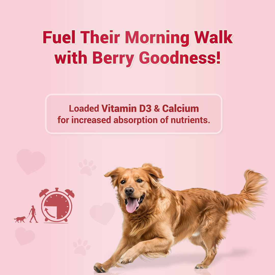 Pet natural remedies Treat o clock (strawberry)