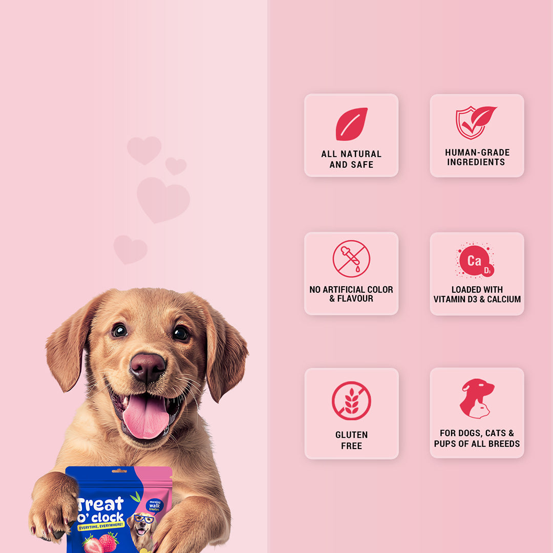 Pet natural remedies Treat o clock (strawberry)