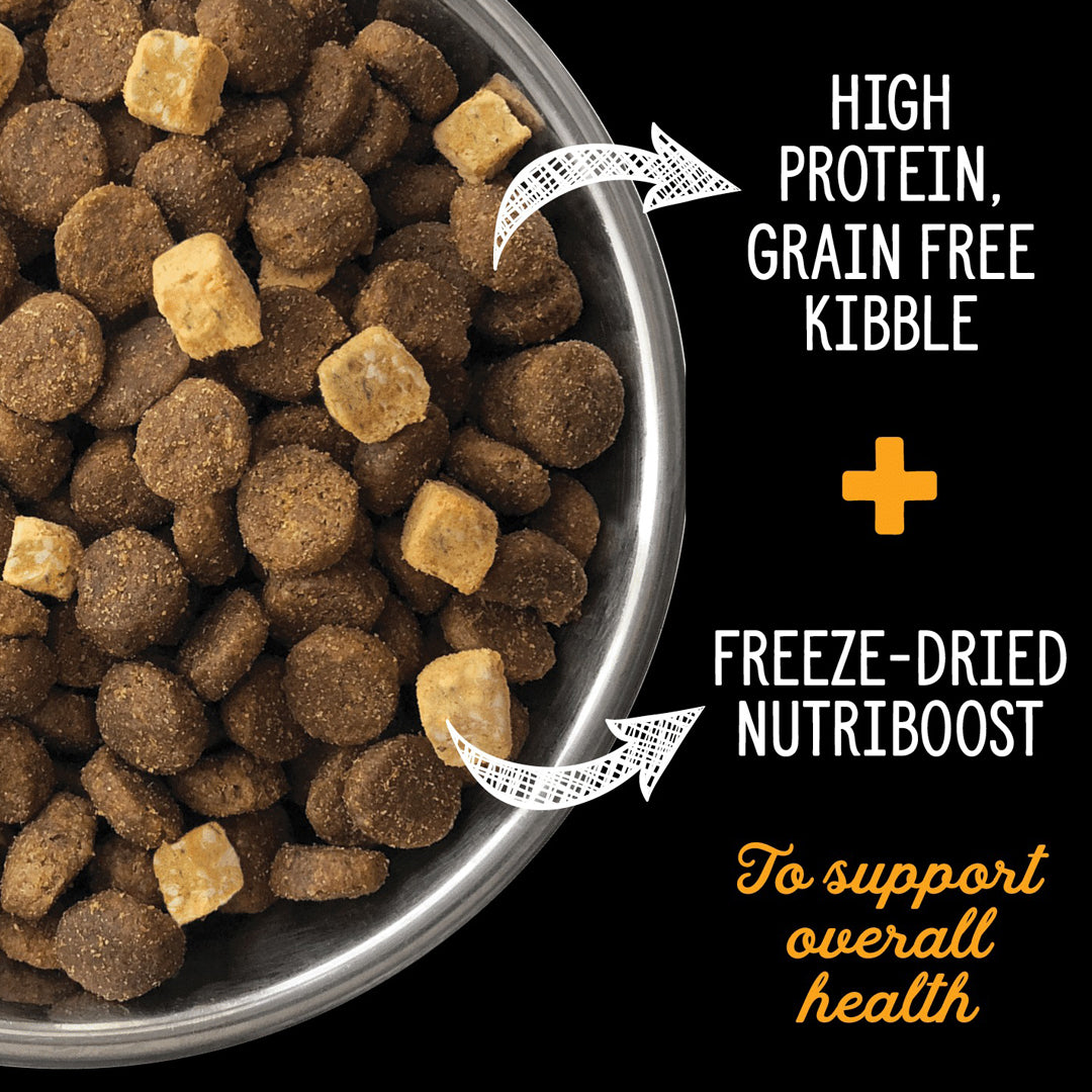 Nutrience Subzero Fraser Valley Dry Food 453g