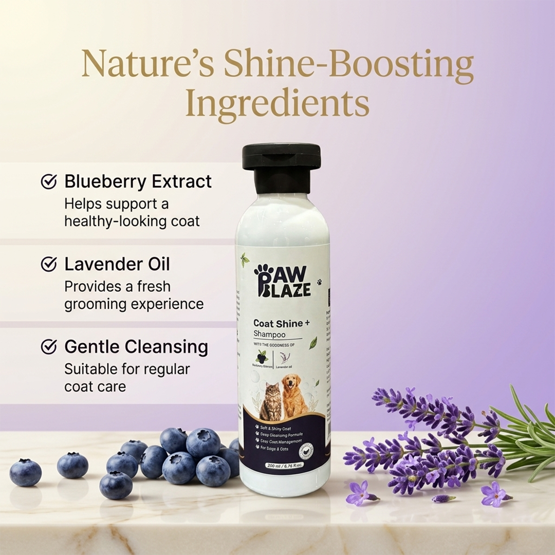 PawBlaze Coat Shine+ Shampoo(200Ml)