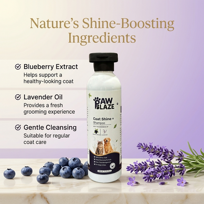 PawBlaze Coat Shine+ Shampoo(200Ml)