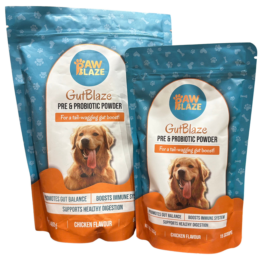 PawBlaze Gutblaze(Pre-Probiotics Powder)