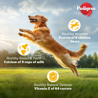 Pedigree Adult Dry Dog Food, Chicken & Vegetables, 1 kg, Contains 37 Essential Nutrients, 100% Complete & Balanced Food for Adult Dogs